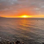 公寓 Magnificent Studio With A Terrace Overlooking The Sea! 拉克鲁斯